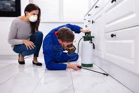 Emergency Pest Control Services in Sibley, IA